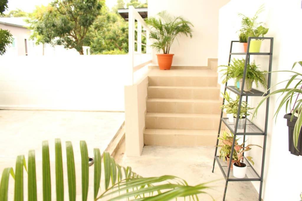 New Seaview Cozy Modern Beach House Tanjung Bungah  Extérieur photo